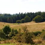 189801_jordloese_bakker